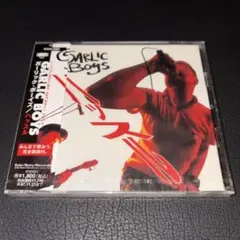 新品未開封 GARLIC BOYS/ハッスル 廃盤 ガーリックボーイズ プロモ