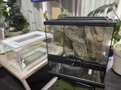 【直接引き取り限定】爬虫類用 飼育ケージ ガラス製 観音開き 2点セットのサムネイル