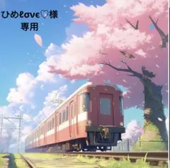 ひめℓσνє♡様専用