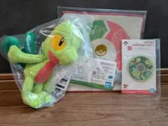 一番くじPokémon 30th ANNIVERSARY E賞キモリ おまけ付き