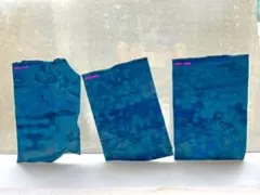 Item thumbnail for item 670d5d5c-125b-466e-b1d8-17b63aa5499f