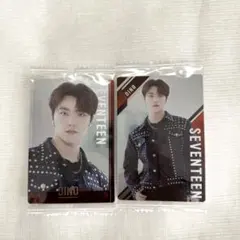 セブチ SEVENTEEN ディノ ウエハース グミ ステッカー シール