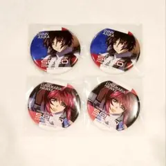 ガンダムSEED FREEDOM メモリーCANバッジ シン ルナマリア