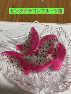 安心♪新鮮♪大玉❣️樹実り完熟レッドドラゴンフルーツ（常温）箱込み