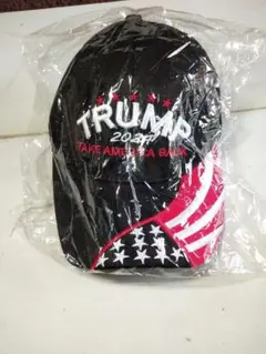 Item thumbnail for item 2977ff51-3a29-45a3-8a68-98a80808fa53