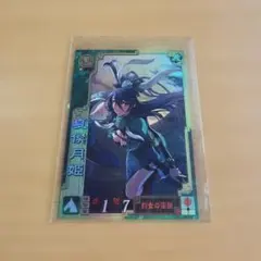 三国志大戦3とTCG 夏侯月姫 2枚セット - メルカリ