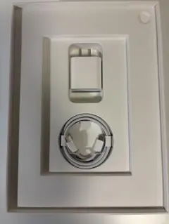 Apple 純正充電器セット 電源アダプター 充電ケーブル iPad付属品