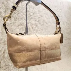 ⭐未使用級⭐COACH シグネクチャー キャンバス×レザー アクセサリーポーチ