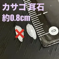 カサゴの耳石 さかな