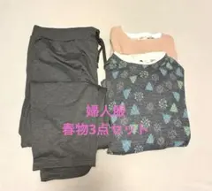 3Lトップス2点と4Lパンツのセットまとめ売り