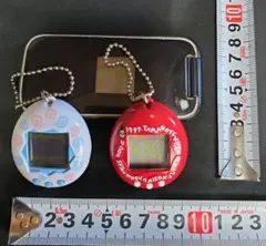 Item thumbnail for item 2ed3f075-faec-412d-ad43-fa7f24875f84