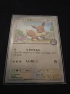 ポケモンカード　イーブイ　カジュアルバトル