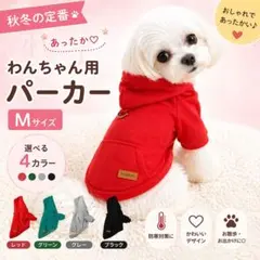 [春お出かけにぴったり♪]フード付きパーカー Mサイズ 4色 送料無料即購入Ok