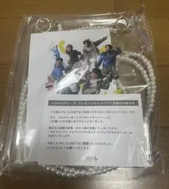 マルチケース　パルクローゼット　すっきゃねんず