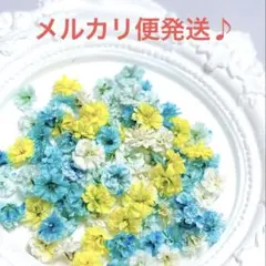 訳あり】ドライフラワー モナカママ☆オリジナル《加工花》ミニ