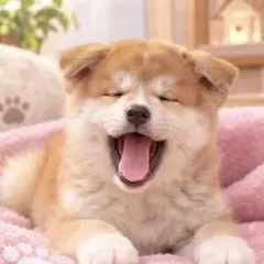 【1152】秋田犬 ステッカーシール・缶バッジ・キーホルダー