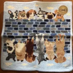 ＦEILERハンドタオル２枚セット