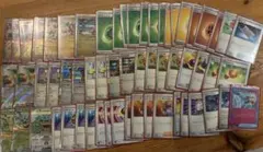 タケルライコexデッキ