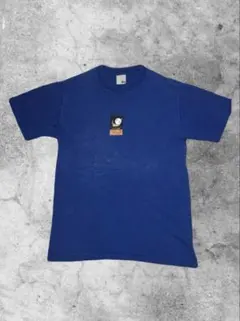 Stussy ブルー Tシャツ