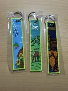 バラ売り可) JAL 阿蘇くまもと空港 フライトタグ3種セット 限定品