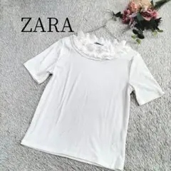 【ザラ】トップス 半袖 リブ レディース フリル付き