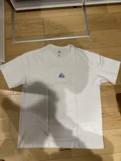 ナイキ ACG NRG LBR LUNGS S/S Tシャツ