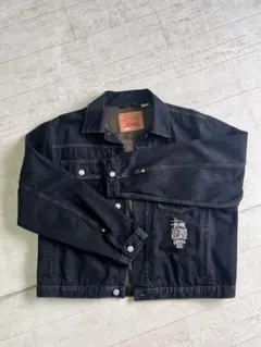 デニムジャケット メンズ