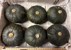 坊ちゃんかぼちゃ 6玉 愛媛県産 コンパクトボックスのサムネイル
