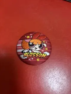 【値下げしました！】パワーパフガールズ刺繍缶バッジ　【ブロッサム】