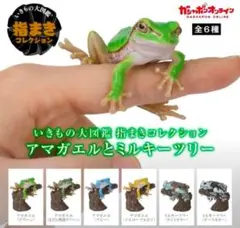 チムシ メメズ オリカラ? 美品 - メルカリ