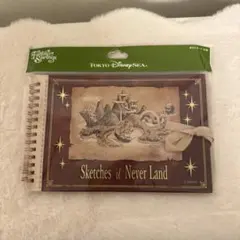 ディズニー　ファンタジースプリングス　ピーターパン　ロストキッズ　ポストカード