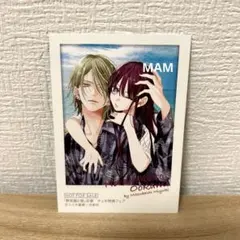 2025年最新】野良猫と狼 特典の人気アイテム - メルカリ