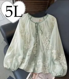 新品　大きいサイズ　花刺繍リボン付きシアーシャツ　5L