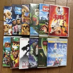 アイスエイジ マダガスカル シュレック カンフーパンダ シャークテイル