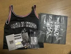Stray Kids スキズ dominATE アプグレ 特典 グッズ エコパ