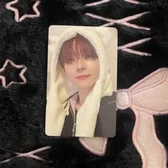 &TEAM 雪明かり NICHOLAS アニマル