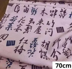 586 難色！正絹はぎれ アイリス系 源氏香絵柄 模様生地 70cm