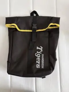 Item thumbnail for item e71dd6bb-496f-4223-9827-98c72d7dc35f