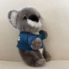 コアラ ぬいぐるみ