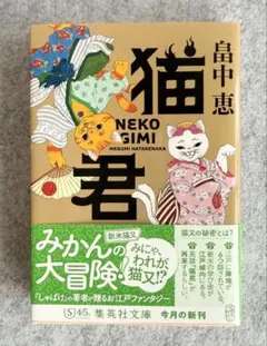 猫君　畠中恵　集英社文庫　文庫
