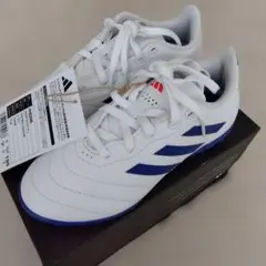 Item thumbnail for item 6caaa57f-65f9-4e31-8f9d-a96b644391fc