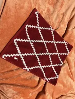 ラルフローレンファイスタオル