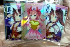 アグネスデジタル ホログラム　トーカイテイオー　カードセット