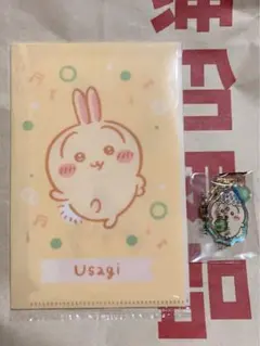ちいかわ うさぎ マスクケース キーホルダー 韓国