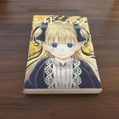 シドーンハウス 8