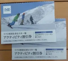 NSD 株主優待 リフト利用含む アクティビティ割引券 2枚