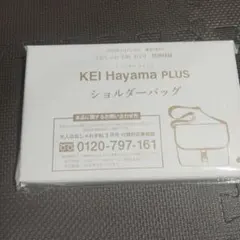 大人のおしゃれ手帖3月号付録　KEI Hayama PLUS ショルダーバッグ