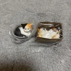 2025年最新】三毛猫の人気アイテム - メルカリ