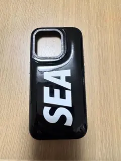 CASETiFY ウィンダンシー　iPhone 15 Pro ケース