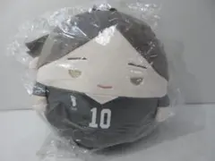 ハイキュー 角名倫太郎 ぬいくじ2 B賞 D賞 ハイキュー!! ぬいくじ2 角名倫太郎B賞 | Mercari